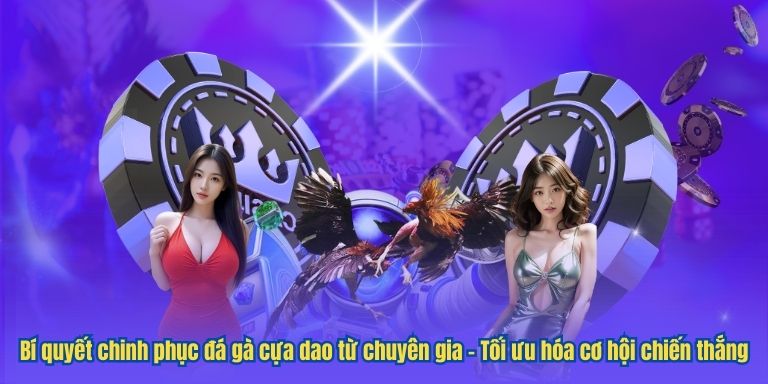 LUCK8 Đá Gà Cựa Dao – Hướng Dẫn Toàn Diện Dành Cho Tân Thủ 4 Bí quyết chinh phục đá gà cựa dao từ chuyên gia – Tối ưu hóa cơ hội chiến thắng