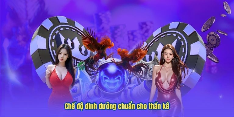 Chế độ dinh dưỡng chuẩn cho thần kê