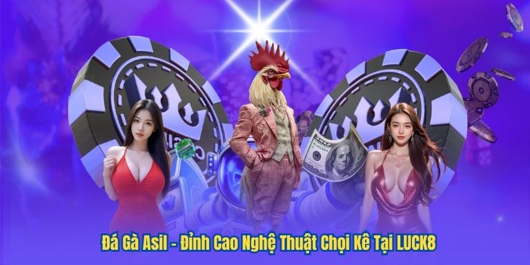 Đá Gà Asil – Đỉnh Cao Nghệ Thuật Chọi Kê Tại LUCK8 1 Đá Gà Asil – Đỉnh Cao Nghệ Thuật Chọi Kê Tại LUCK8