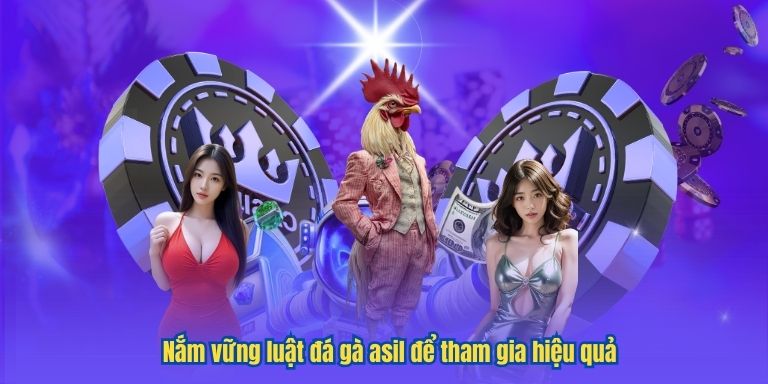 Đá Gà Asil – Đỉnh Cao Nghệ Thuật Chọi Kê Tại LUCK8 3 Nắm vững luật đá gà asil để tham gia hiệu quả