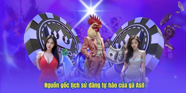 Đá Gà Asil – Đỉnh Cao Nghệ Thuật Chọi Kê Tại LUCK8 2 Nguồn gốc lịch sử đáng tự hào của gà Asil