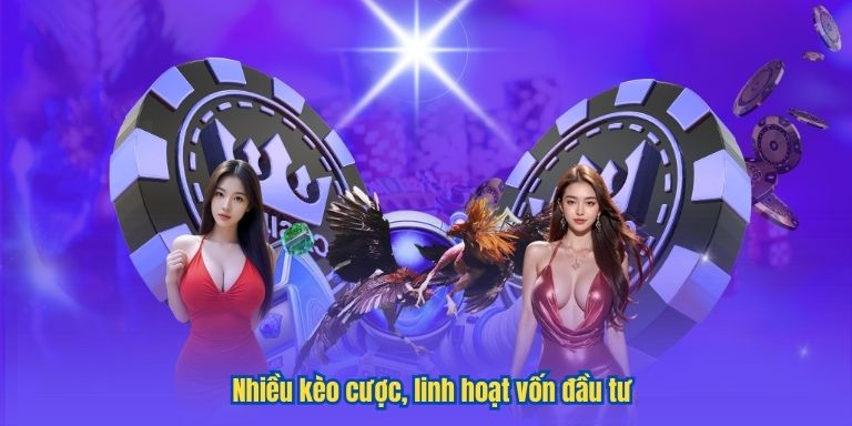LUCK8 Đá Gà Cựa Dao – Hướng Dẫn Toàn Diện Dành Cho Tân Thủ 3 Nhiều kèo cược, linh hoạt vốn đầu tư
