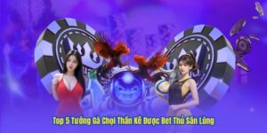 Top 5 Tướng Gà Chọi Thần Kê Được Bet Thủ Săn Lùng