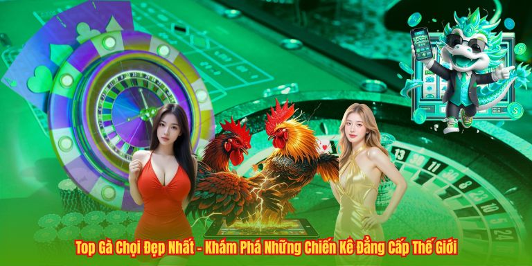 Top Gà Chọi Đẹp Nhất – Khám Phá Những Chiến Kê Đẳng Cấp Thế Giới 4 Top Gà Chọi Đẹp Nhất – Khám Phá Những Chiến Kê Đẳng Cấp Thế Giới